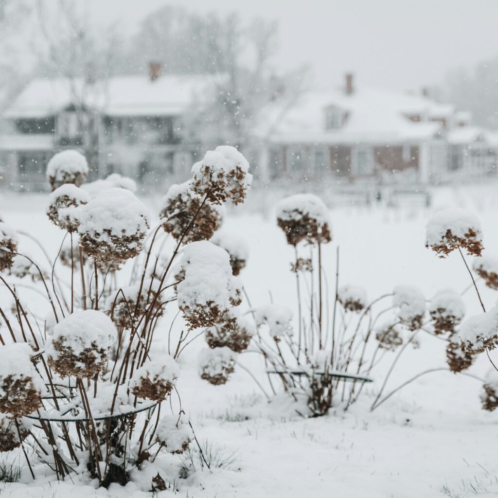 Predict Your Snow Day