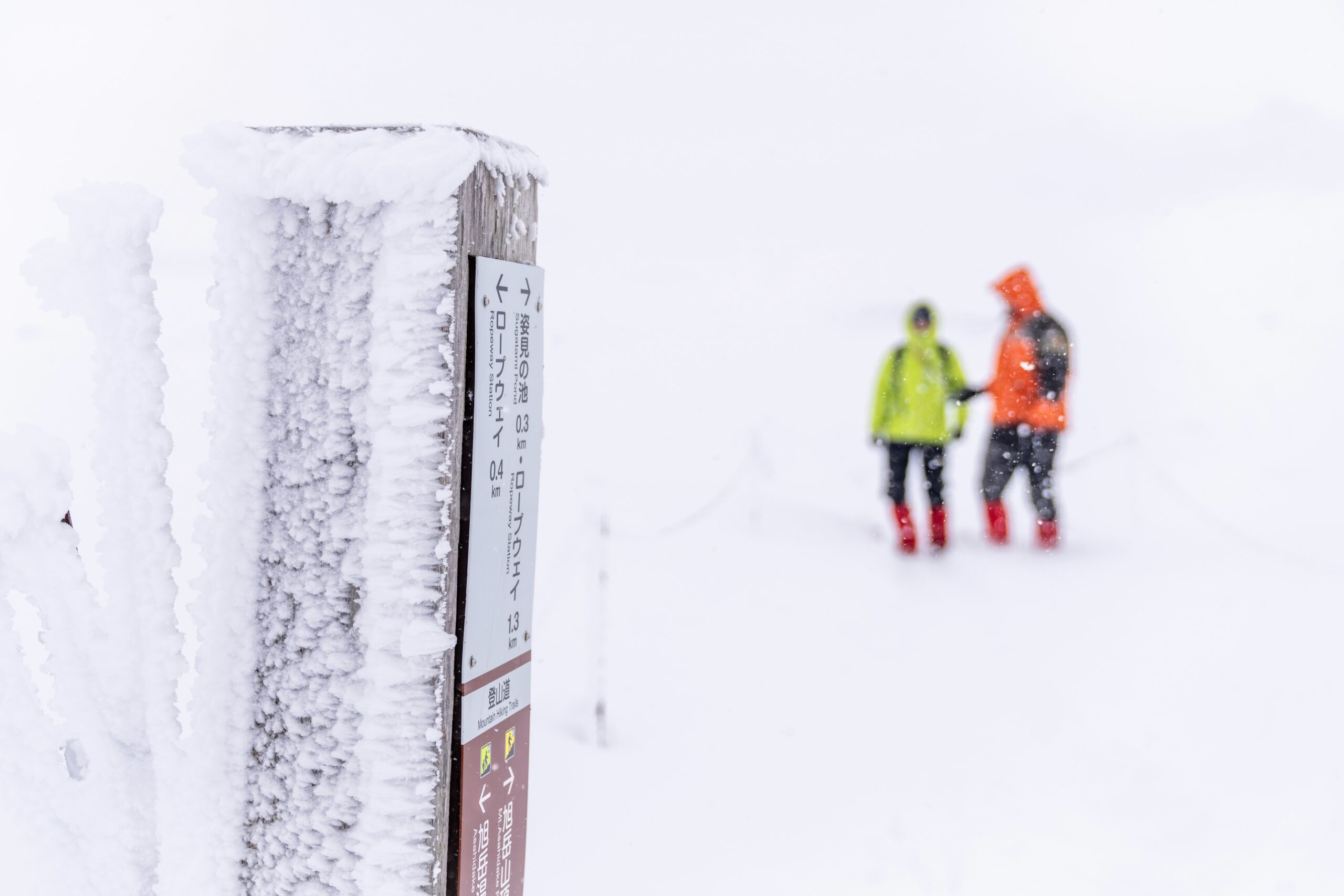 Snow Forecasting Winter Guide