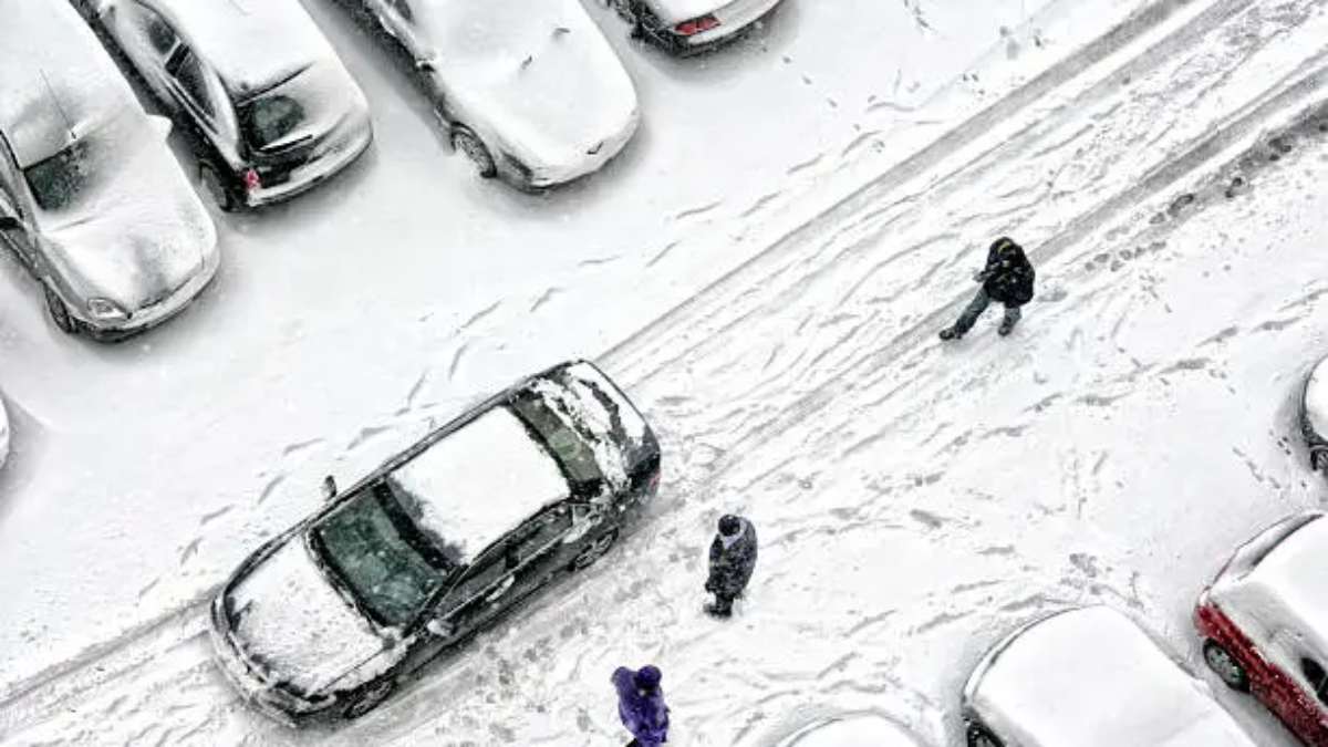 Snowfall Weather Forecast