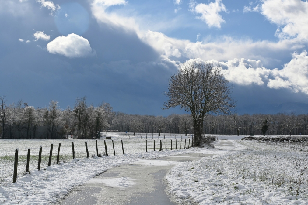snow forecasts of winter storms.