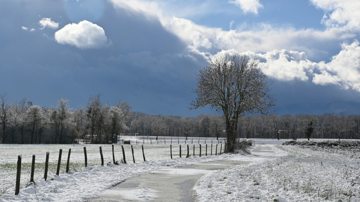 snow forecasts of winter storms.