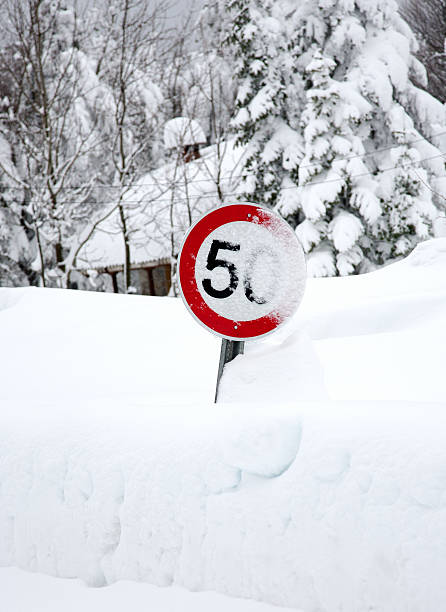 Convert 50mm Snow to Inches