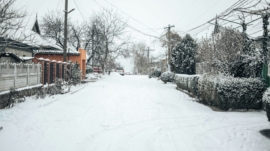 malanca-stanislav-zgCAB0KOnjo-unsplash